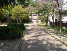 公園内の歩道